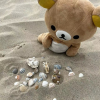 5班文件信息共享