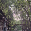 频道头部图标