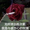 频道头部图标