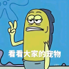 宠物分享