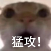 三角洲行动开黑社区