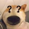 依十二的频道