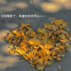 旅游美景