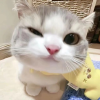 单亲妈妈