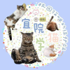 宜院猫学频道图标