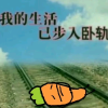 【警匪】：曙光