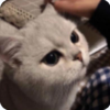 Bgw的频道