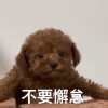 频道头部图标