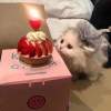 纯爱