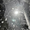 喜欢小雪