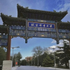 爱跑步