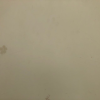 土豆