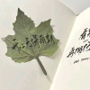 关于我频道图标