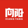 向阳中考