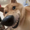 养老的小窝
