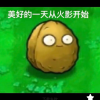 频道头部图标