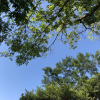 凌空飞志~
