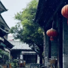 人类另类艺术交流群