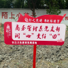 商务管理系“种菜”