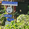 第365种活法