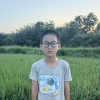 叶子树下的李子的频道