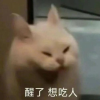 短剧推频道图标