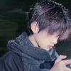 特维拉（暗区）