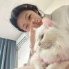 头像库频道图标