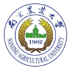 频道头部图标