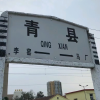 河北省沧州市青县频道图标