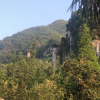 频道头部图标