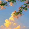 失眠