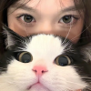宠物频道图标