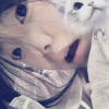 ████████