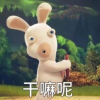会动的表情包频道图标