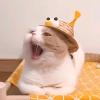 小叶子的频道