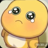 要蛋仔皮的就来吧