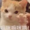 猫猫oc跑团基地