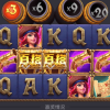 小猪的频道
