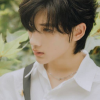 TF家族 余宇涵yh频道图标