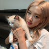 猎奇频道