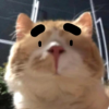 搞笑趣事
