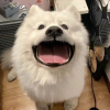 头像表情包壁纸大全