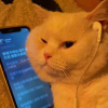 宝藏音乐