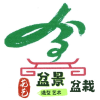 盆景盆栽艺术交流