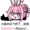 Doro攻略组
