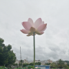 频道头部图标
