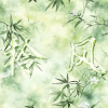 柃风阁.华沧灵网