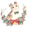 ღ媛清᭄ꦿ的频道频道图标