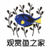 观赏鱼之家︱养鱼交流频道图标